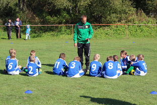 开云中国官网-乌鸦防线表现完美，对手几乎无解，乌鸦攻击什么